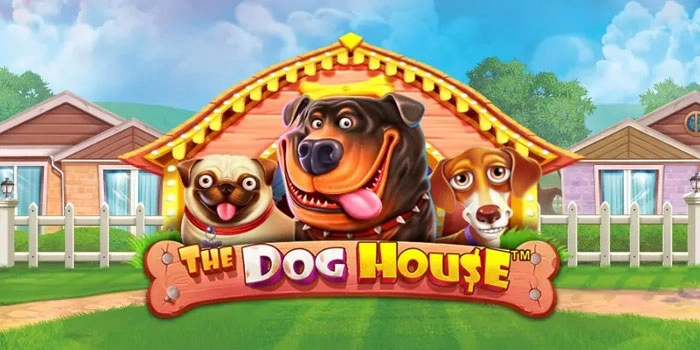 Cara Mudah Temukan Pola Gacor Di Slot The Dog House